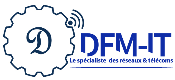DFM-IT